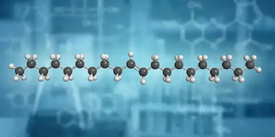 Трансжиры — это, пожалуй, самое вредное, что можно съесть