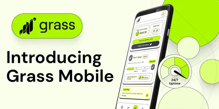 Получайте деньги за неиспользованный Интернет от Grass